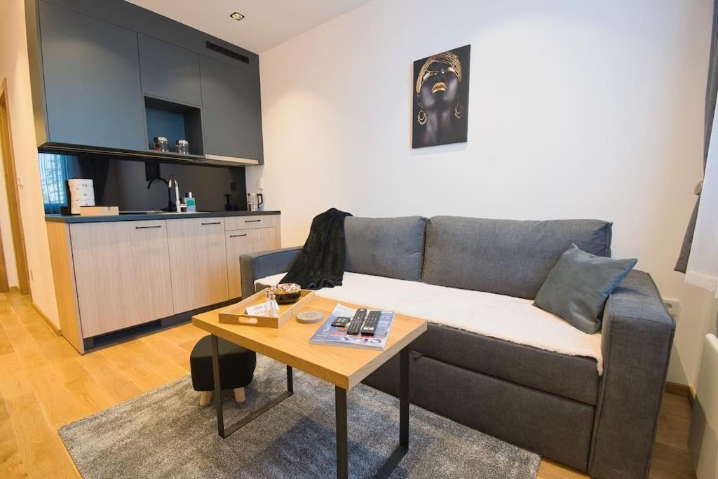 a living room with a couch and a table at Studio apartment 306 in Jahorina