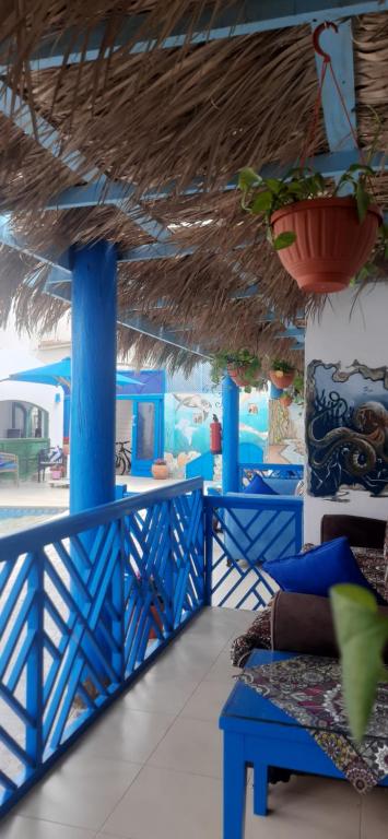 Fotografie z fotogalerie ubytování Chillax Dahab v destinaci Dahab