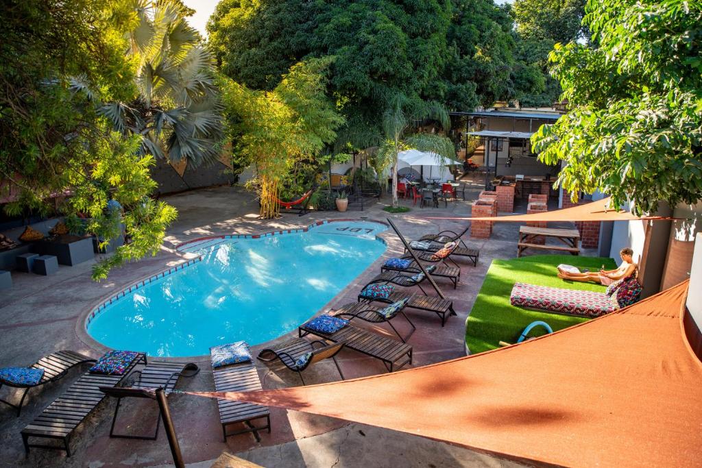 an overhead view of a swimming pool with lounge chairs and a man at Victoria Falls Backpackers Zambia in Livingstone