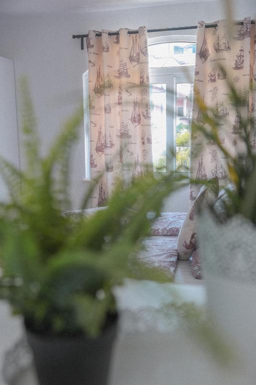 Fotografie z fotogalerie ubytování Casa Selimi v destinaci Ulcinj