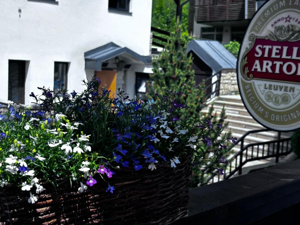 Penzion Verde Rosa - 10