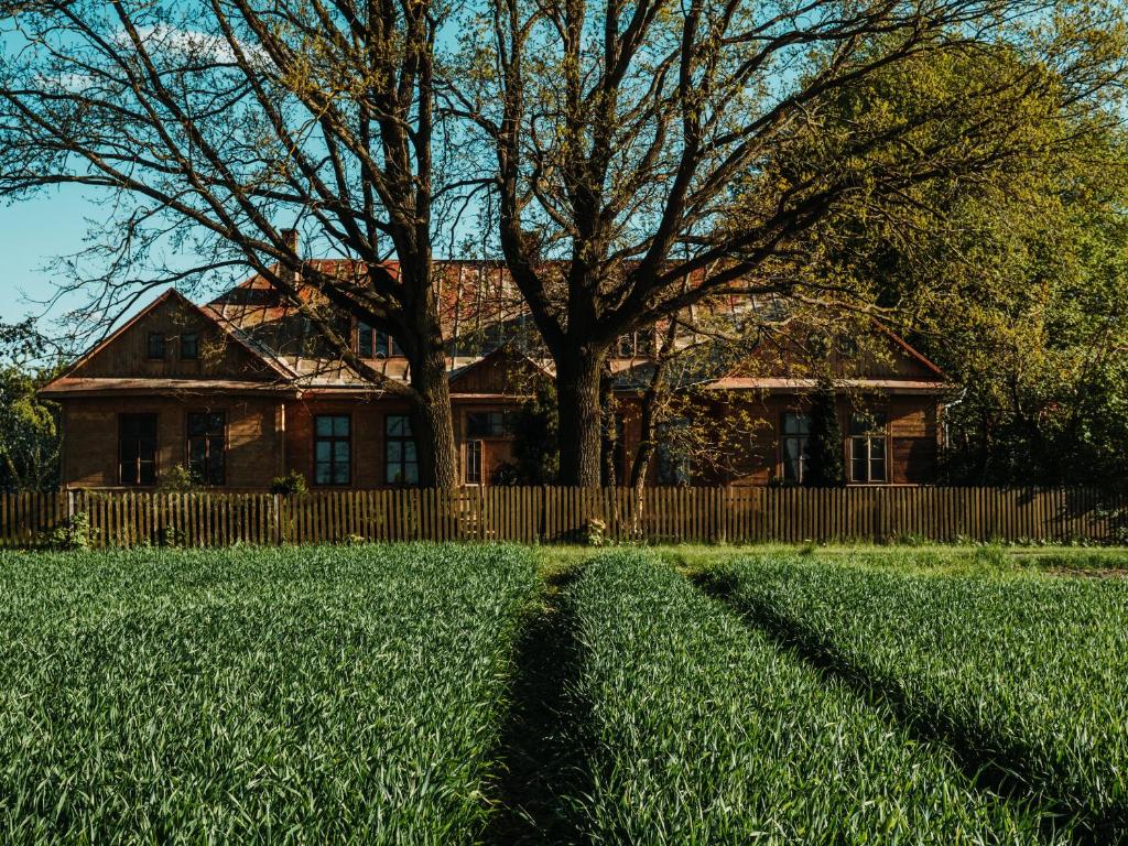 a house with a tree in front of a yard at Puszcza - Przestrzeń Kreatywna in Andrzejów