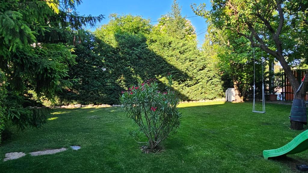 Vonkajšia záhrada v ubytovaní Füred Deluxe Garden Apartment