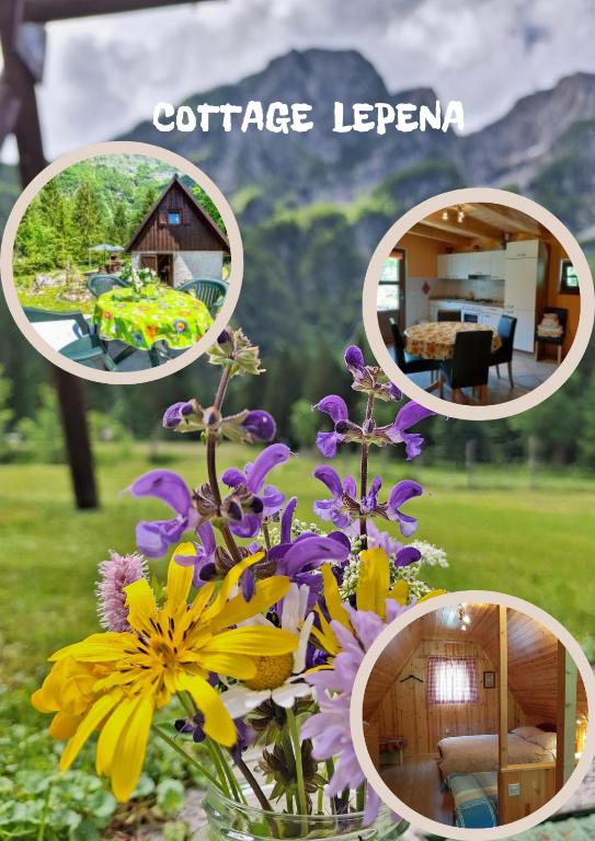 a collage of photos of a house and flowers at Cottage Lepena in Soča