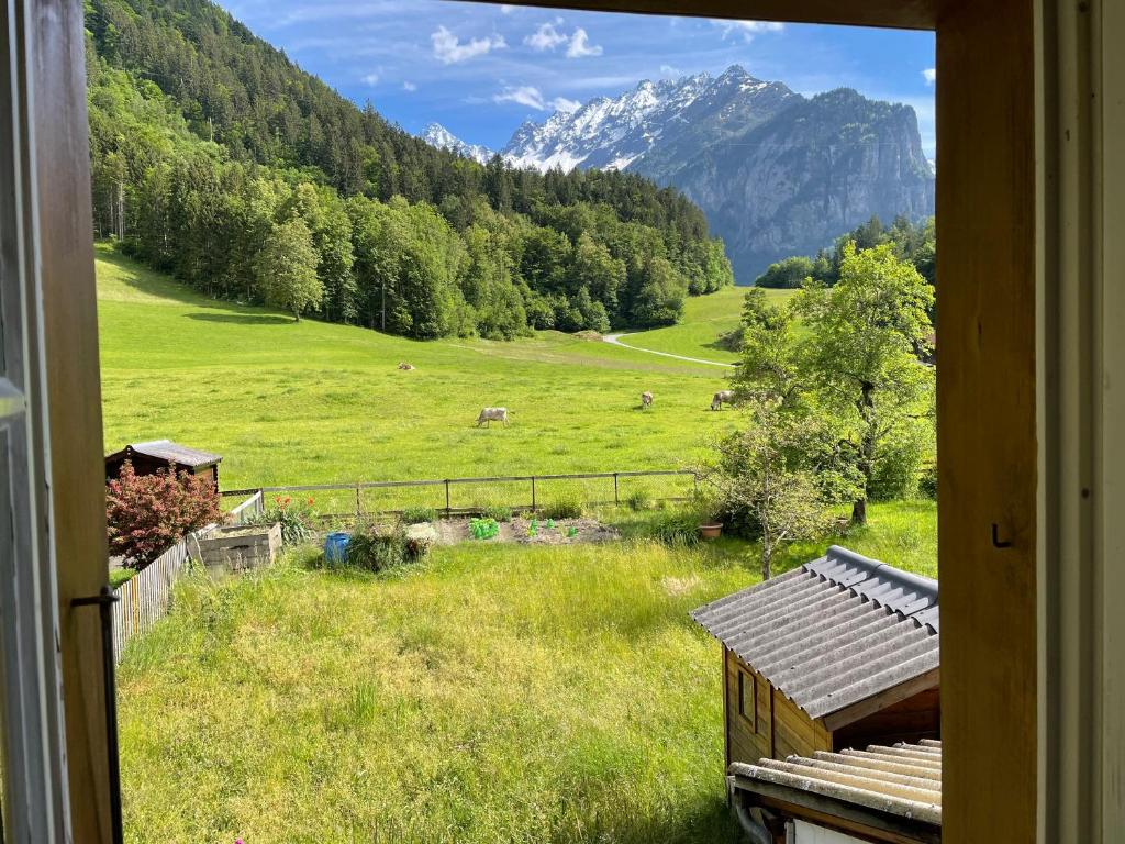 Příroda nedaleko apartmánu