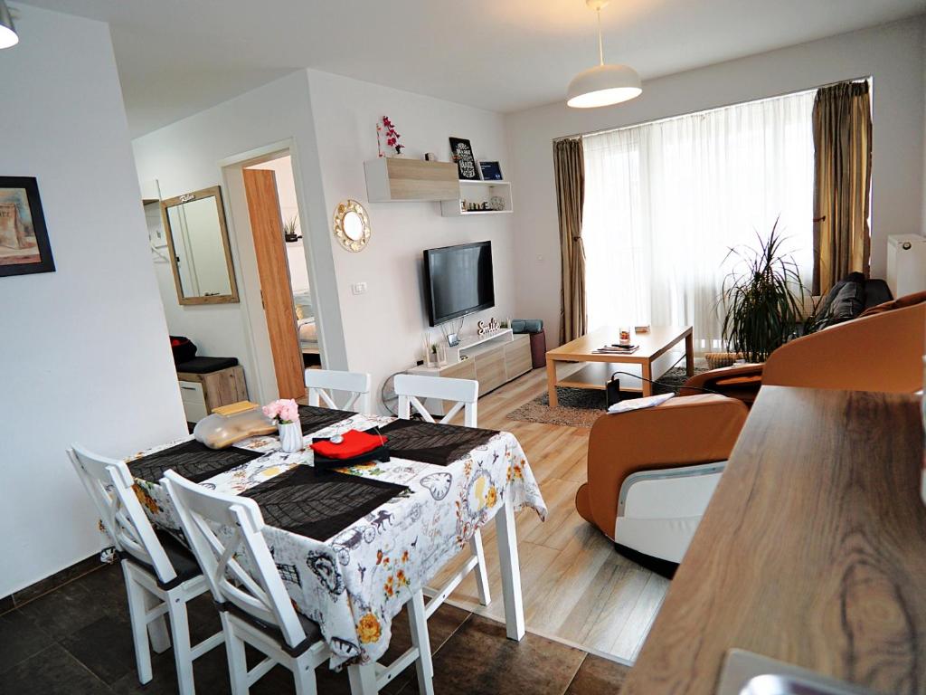 TV a/nebo společenská místnost v ubytování Relaxing Coresi Studio