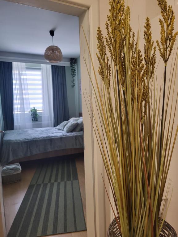 Postel nebo postele na pokoji v ubytování Regina S