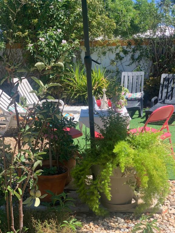 a garden with a table and chairs and plants at A Casa do Lagar in Azeitao