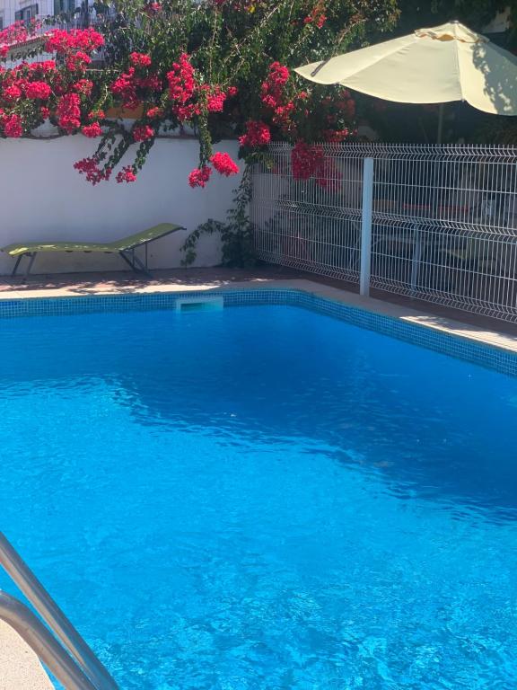 a blue swimming pool with flowers on a wall at A Casa do Lagar in Azeitao