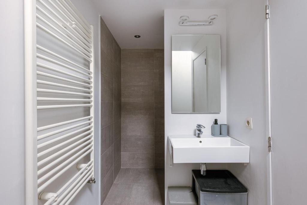 a bathroom with a sink and a mirror at New Stylish Grand place City Center Duplex in Brussels