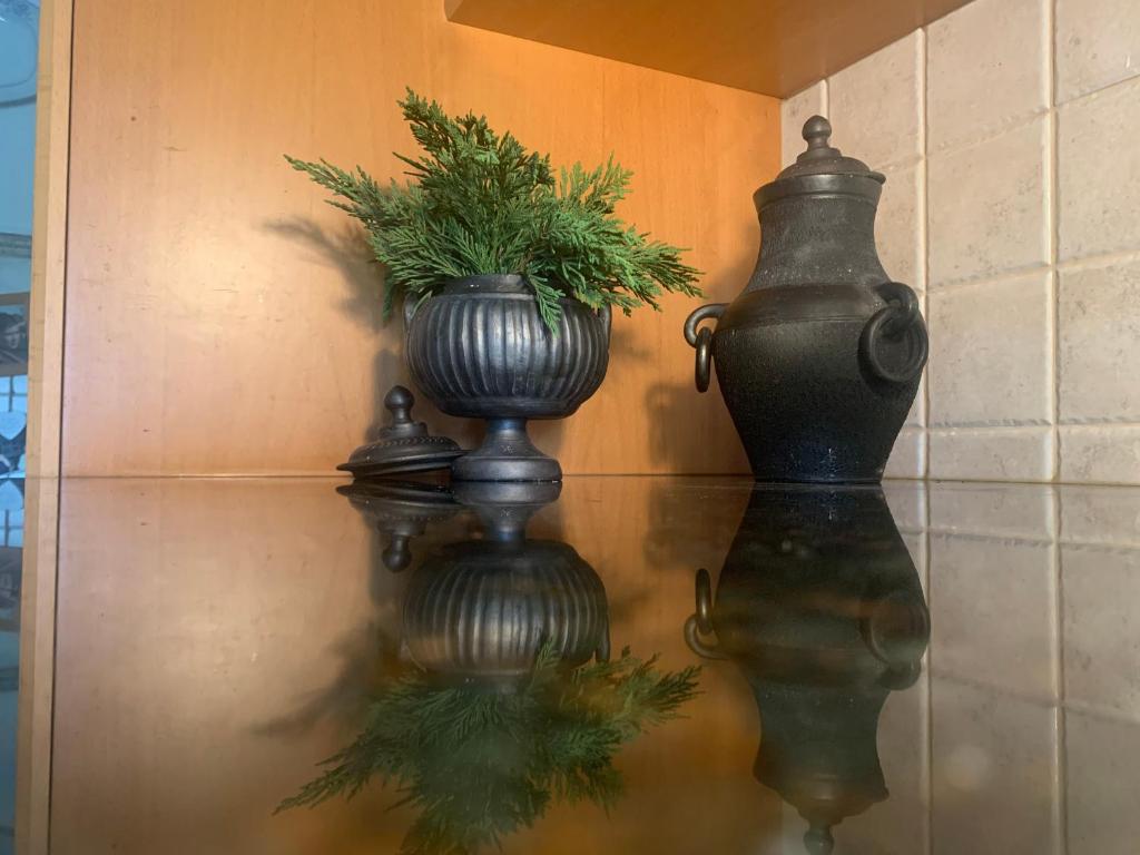 two vases on a wall with a plant in them at A Casa do Lagar in Azeitao