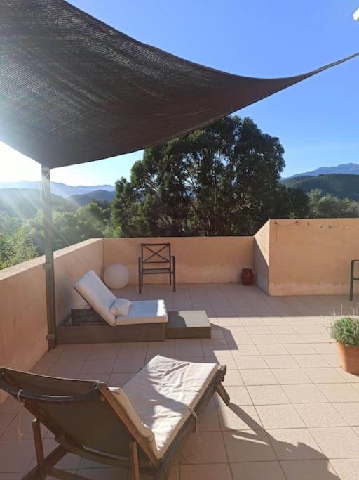 une terrasse avec un canapé et une chaise sous un parasol dans l'établissement Villa avec grand jardin au centre de St Florent, à Saint-Florent