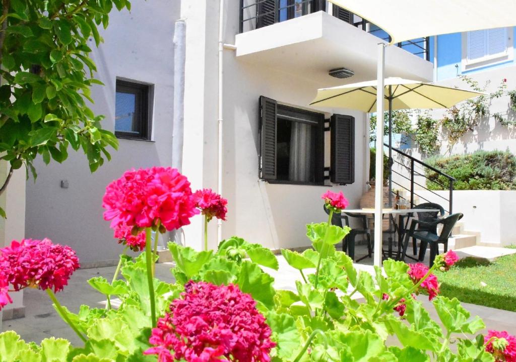 Zahrada ubytování Casa Luminosa Guesthouse