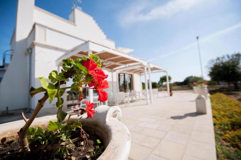 a potted plant with red flowers in a vase at Tenuta TerraLuna in Collepasso