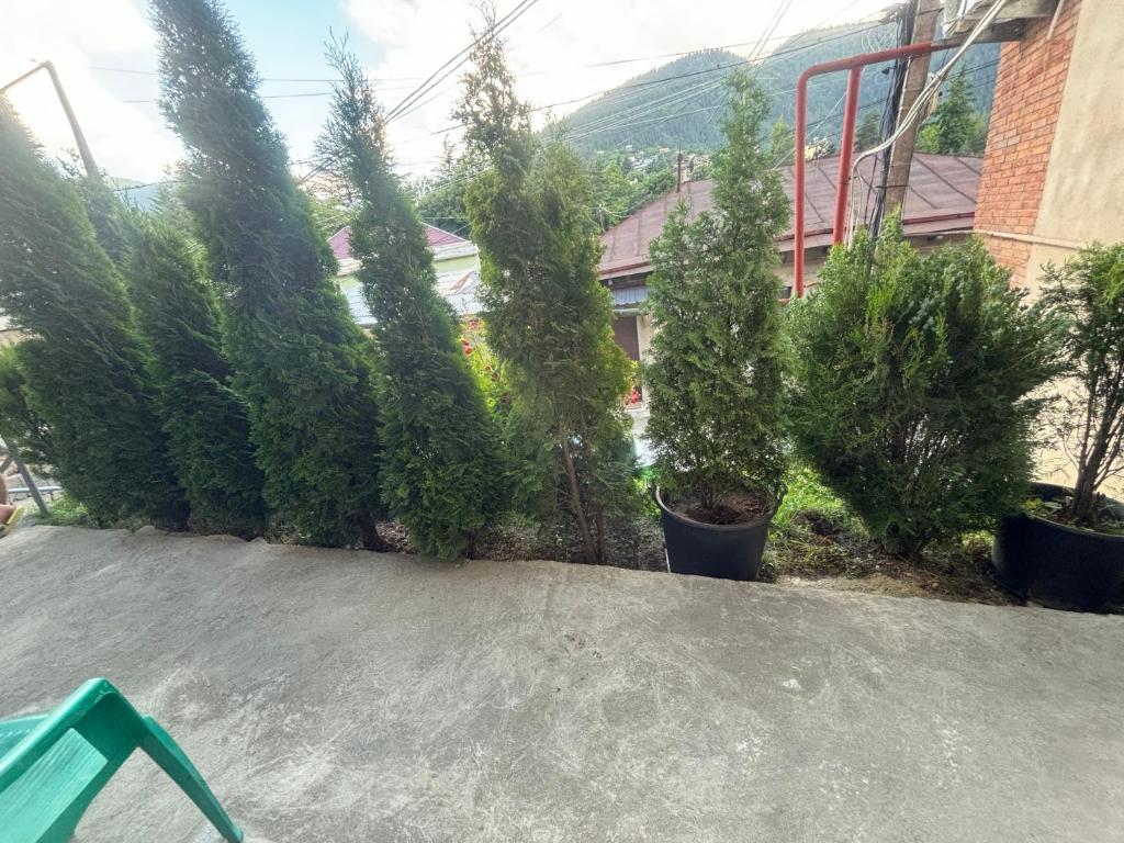 Nespecifikovaný výhled na hory nebo výhled na hory při pohledu z penzionu