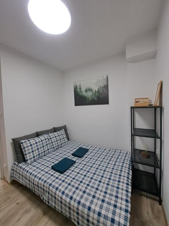Postel nebo postele na pokoji v ubytování Domek w Parku Hel