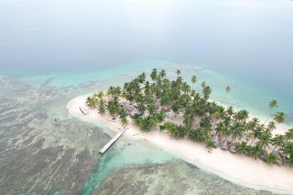una vista aerea di un'isola con palme di Discovery Gunayar a Waisalatupo
