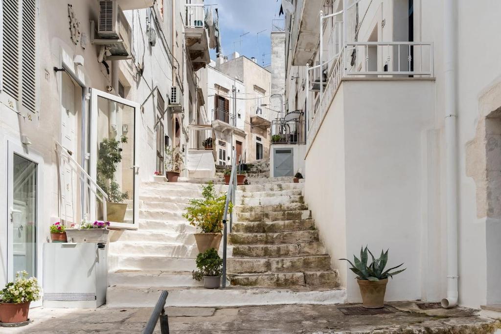 The surrounding neighborhood or a neighborhood close to the holiday home