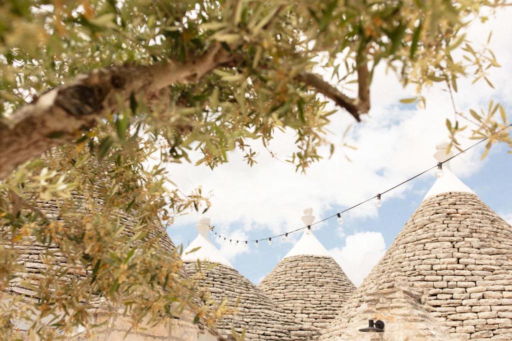 Gallery image of Trullo Sisto in Cisternino