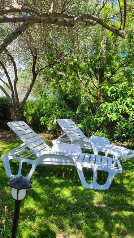 Zahrada ubytování Apartman Padova