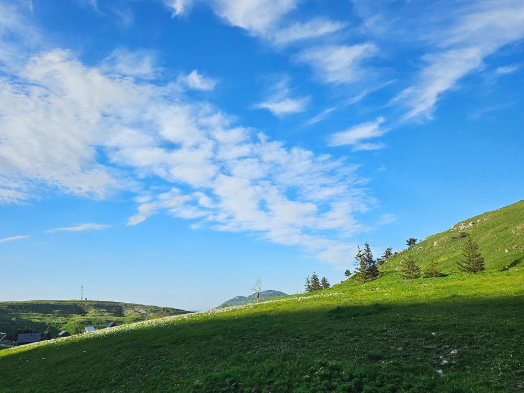 Příroda nedaleko apartmánu