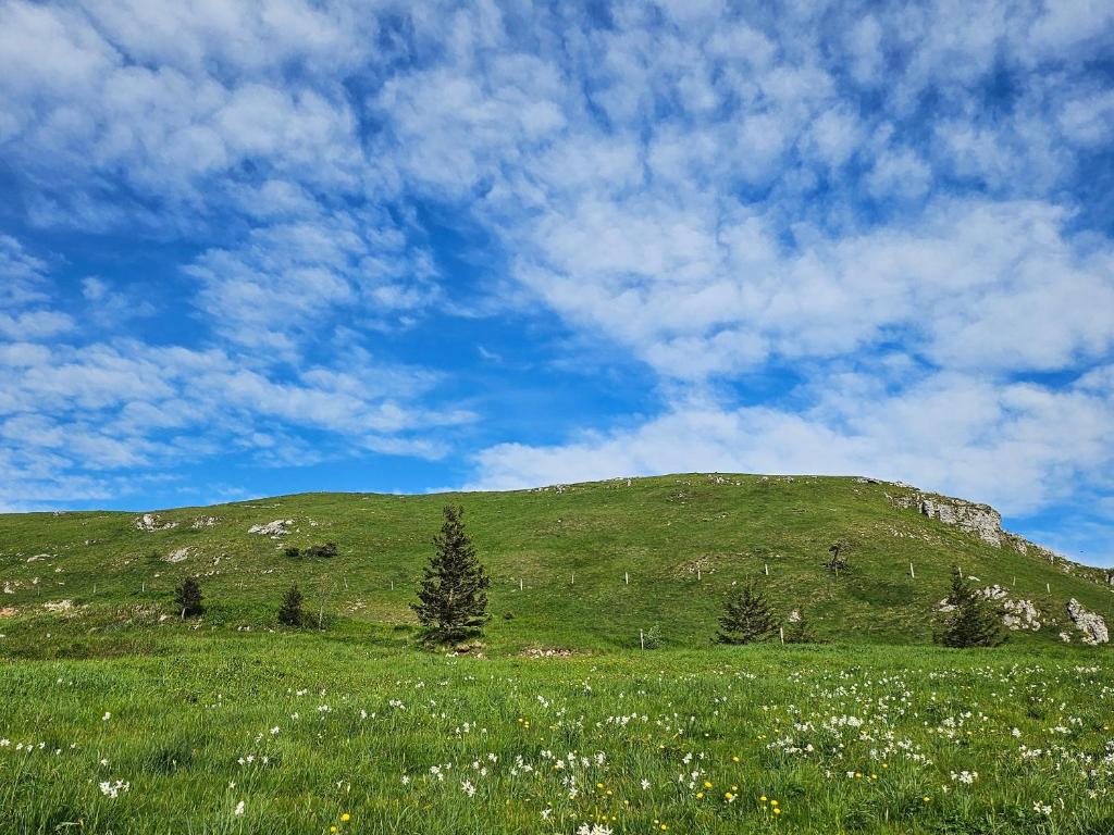 Příroda nedaleko apartmánu