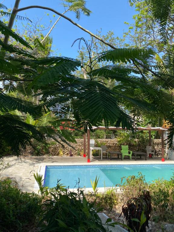 una piscina en un jardín con árboles en Casona La Carolina, en San Andrés