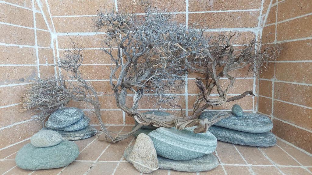 Foto sihtkohas Tinos Town asuva majutusasutuse Callisto Tinos galeriist