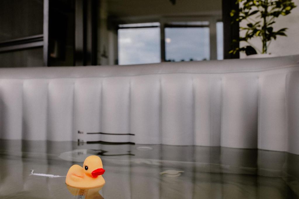 Fotografie z fotogalerie ubytování Apartment Fratello v destinaci Šoporňa