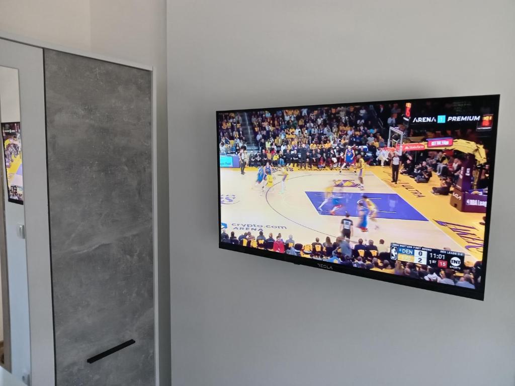 TV/trung tâm giải trí tại Apartman Savić Divčibare