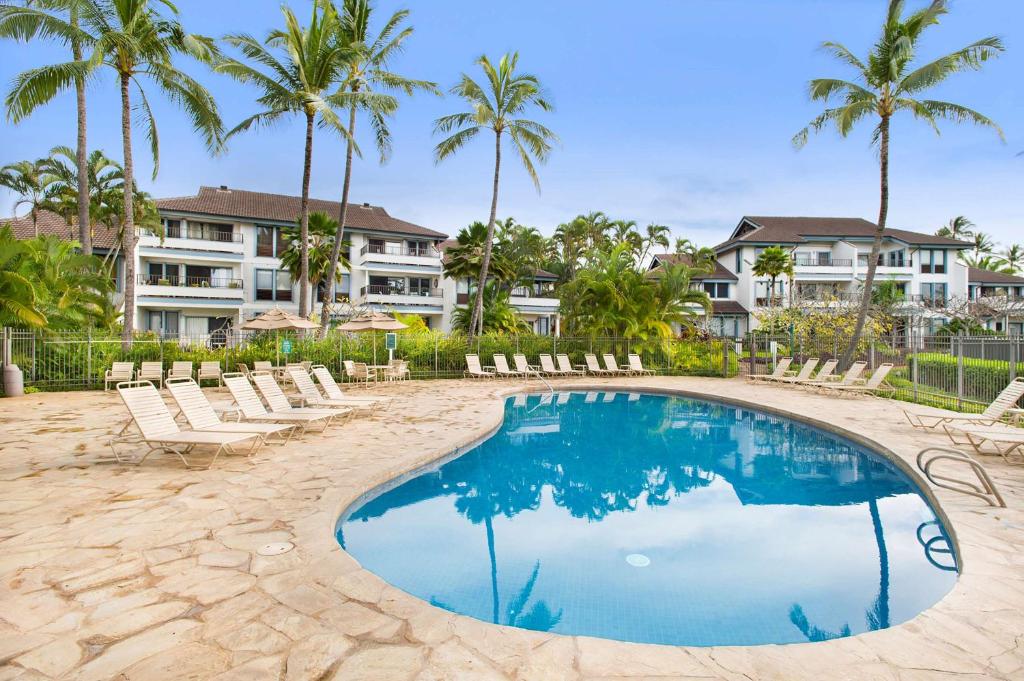 科洛阿的住宿－波普凱雅詩頓公寓式酒店，一个带躺椅的游泳池,棕榈树