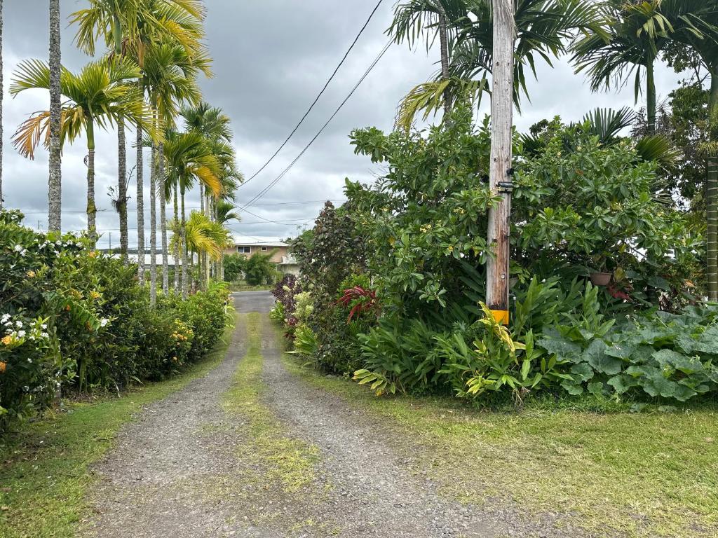 Zahrada ubytování Hawaiian Ohana Home