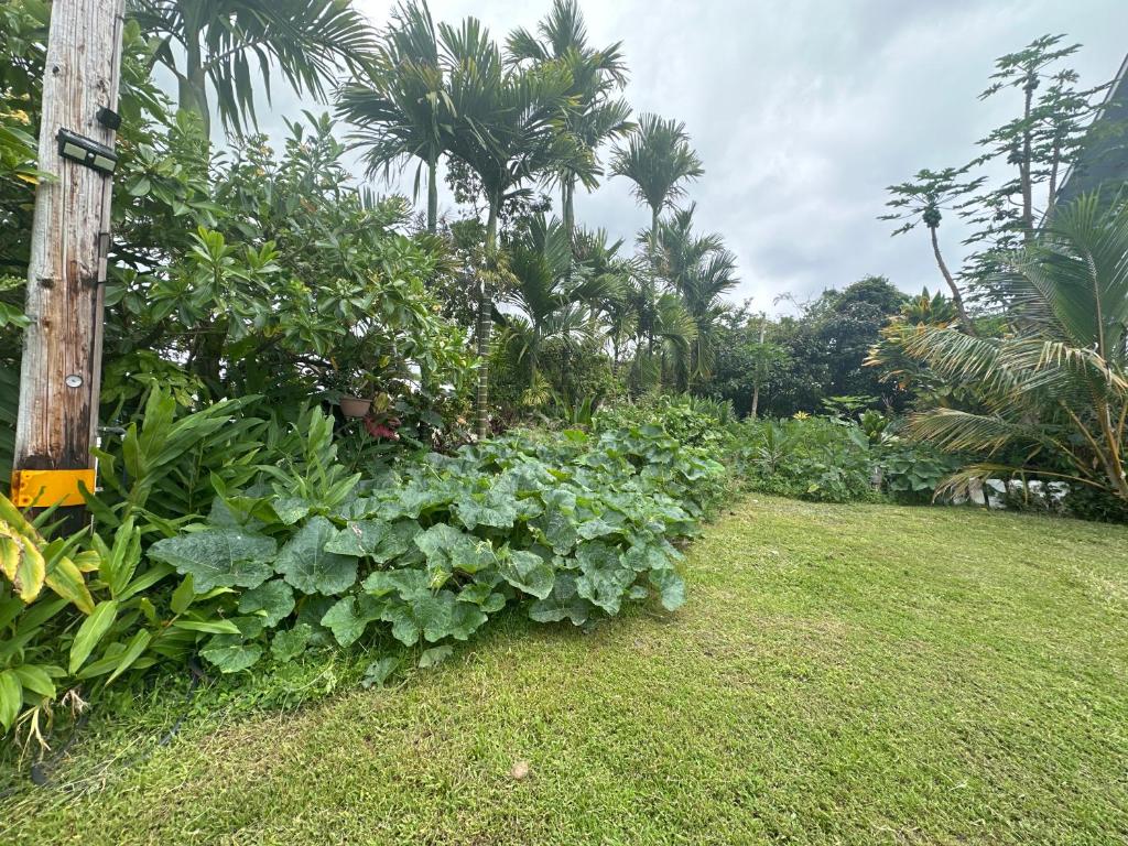 Zahrada ubytování Hawaiian Ohana Home