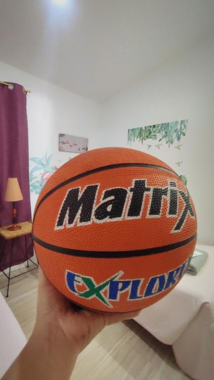 a person holding a basketball in their hand at Olango Transient Home,with WIFI &Netfix in Santa Rosa