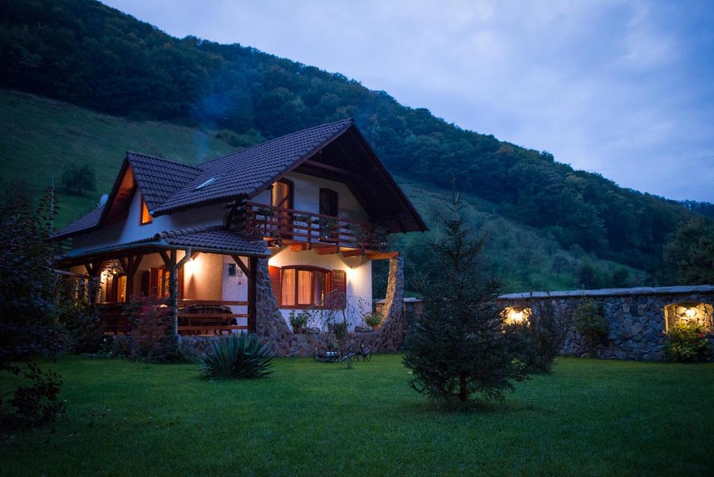 a small house in a field with a mountain at Casa de Piatra in Strungari