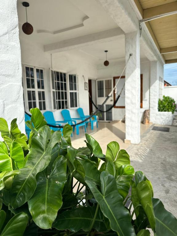Fotografie z fotogalerie ubytování Kilian Beach House v destinaci Playa Blanca