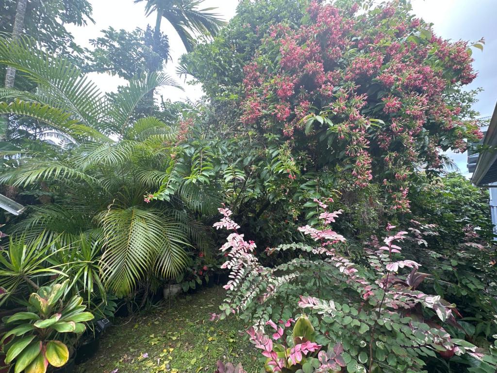 Zahrada ubytování Hawaiian Ohana Home
