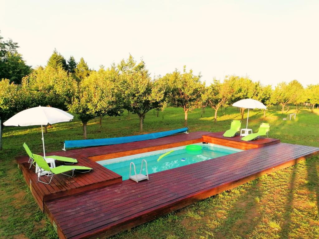 a pool with chairs and umbrellas in a field at Sunny Side Fruska Gora -touristic estate in Velika Remeta