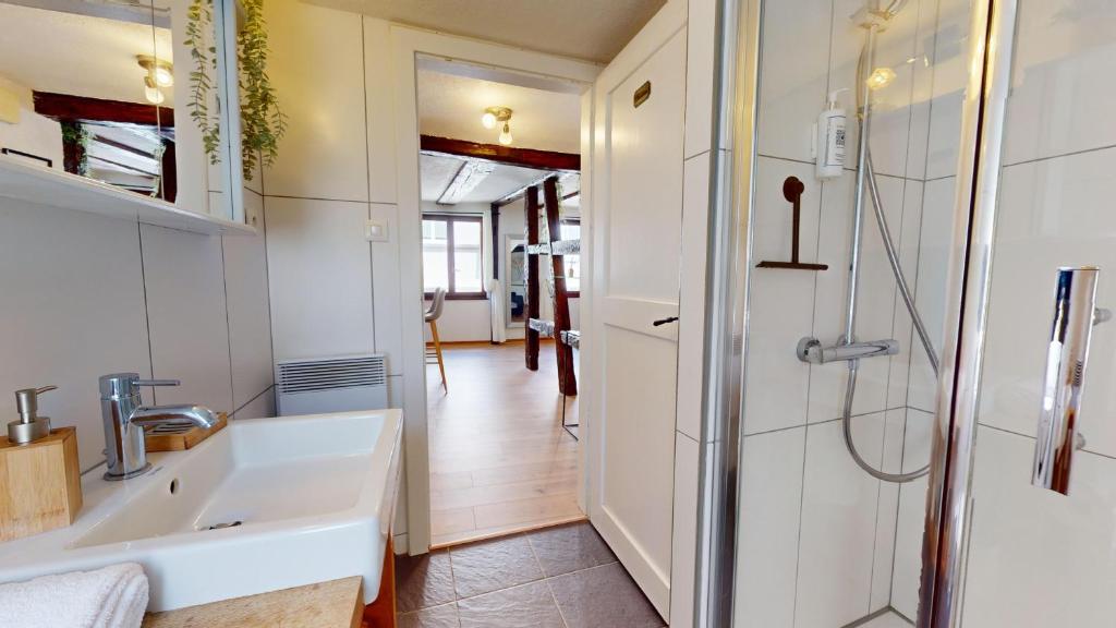 Au Petit Vauban 2 chambres & parking – photo 8