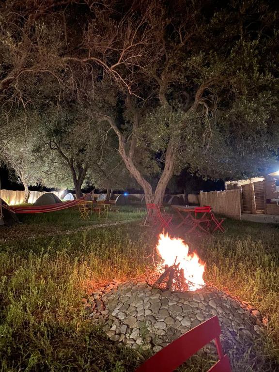Fotografie z fotogalerie ubytování Borsh Olive Camping v destinaci Borsh
