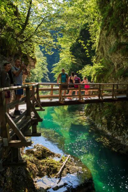 Fotografie z fotogalerie ubytování Glamping alp hut in camping Garden Park v destinaci Radovljica