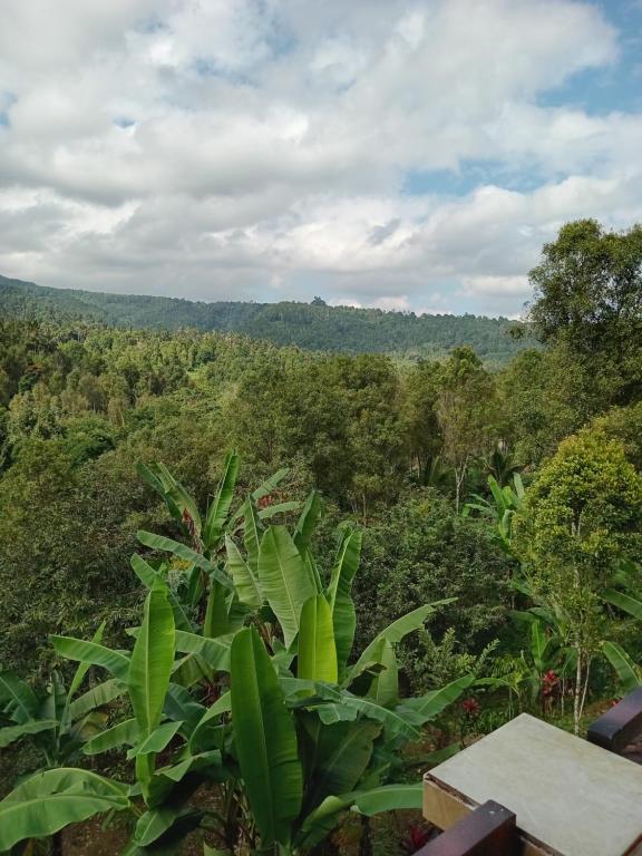 Kanaya Homestay & Warung Heaven - 6