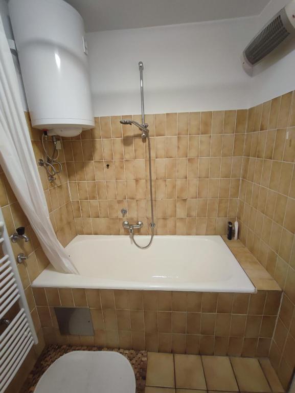 Kúpeľňa v ubytovaní Apartma Mirko