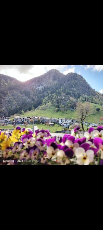 Nespecifikovaný výhled na hory nebo výhled na hory při pohledu z bed and breakfast