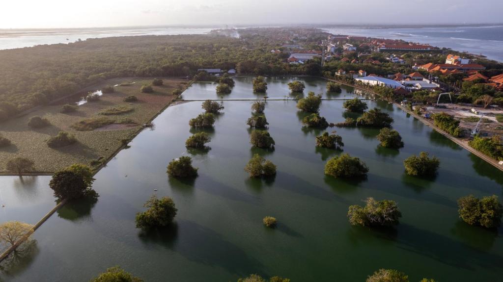 an aerial view of a river with trees at Bali Sunshine Nusa Dua in Nusa Dua