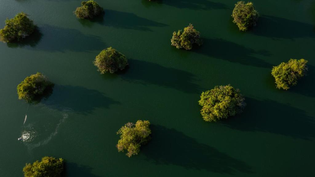 an aerial view of trees in the water at Bali Sunshine Nusa Dua in Nusa Dua
