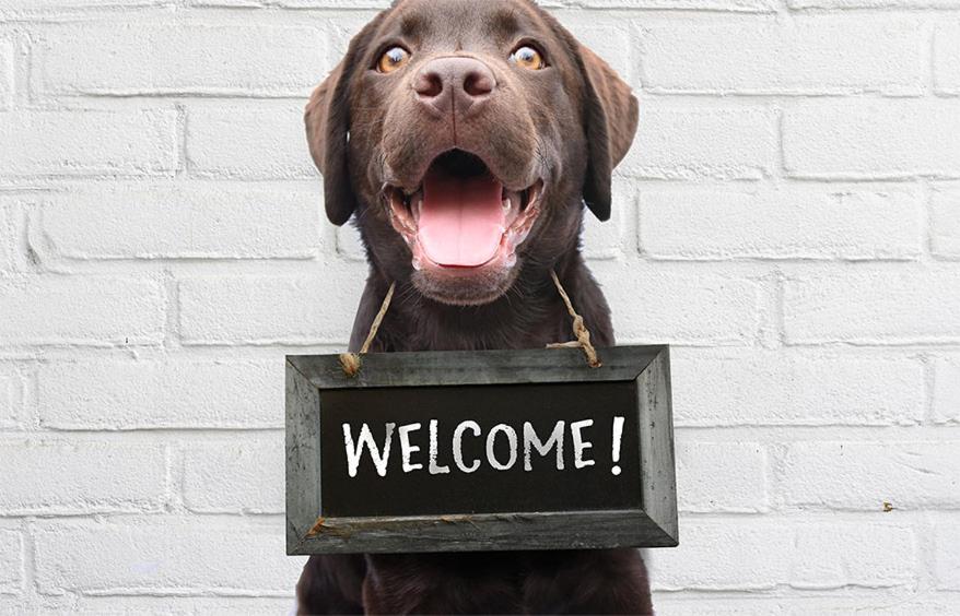 Hotel Beaucour - Resim 11