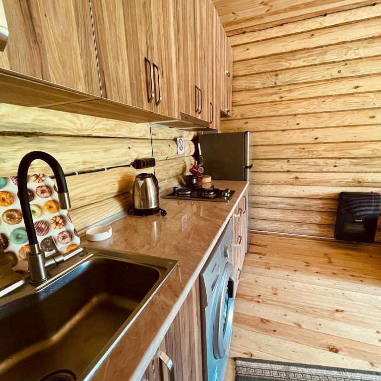 Kuchyň nebo kuchyňský kout v ubytování Borjomi Kingswood Cabins