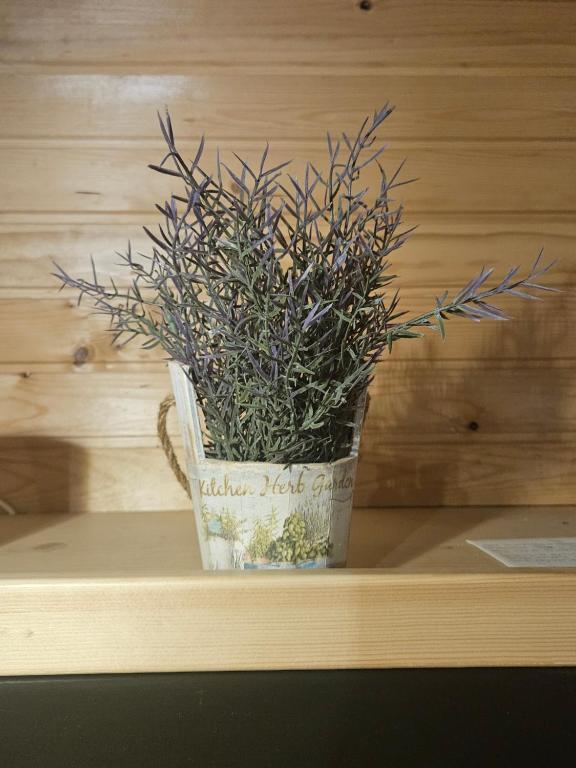 Fotografie z fotogalerie ubytování Cottage Ladybug v destinaci Mojstrana