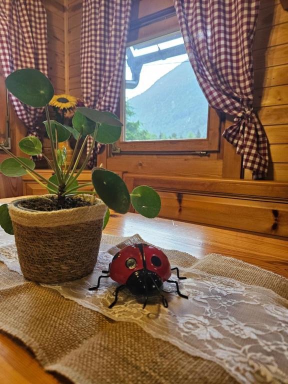 Fotografie z fotogalerie ubytování Cottage Ladybug v destinaci Mojstrana